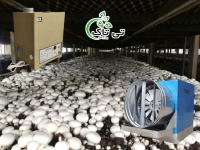 رطوبت ساز صنعتی سالن پرورش قارچ - 09197443453