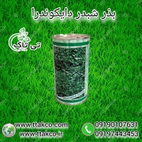 بذر چمن دایکوندرا ، شبدر زینتی - 09197443453