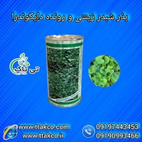 بذر شبدر خارجی | بذر چمن دایکوندرا 09197443453