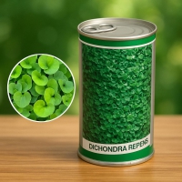 بذر شبدر دایکوندرا:مقاومت و زیبایی در هر فصل