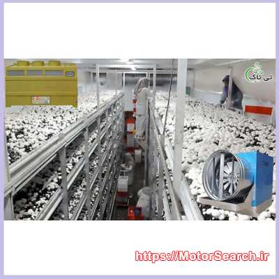 قیمت خرید رطوبت ساز قارچ - 09197443453