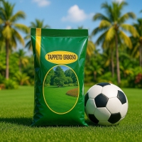 بذر چمن برموداگراس گرمسیری آفریقایی