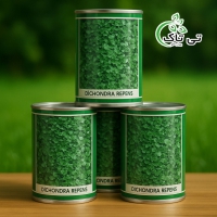 بذر شبدر زینتی | بذر چمن دایکوندرا ایتالیایی