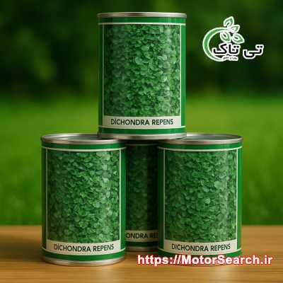 بذر شبدر زینتی | بذر چمن دایکوندرا ایتالیایی