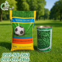 بذر چمن و شبدر زینتی تی‌تاک | پوشش سبز یکنواخت و زیبا