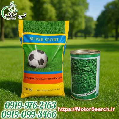 بذر چمن و شبدر زینتی تی‌تاک | پوشش سبز یکنواخت و زیبا