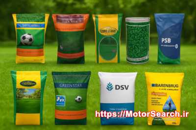 فروش انواع بذر چمن و بذر شبدر زینتی  09199762163