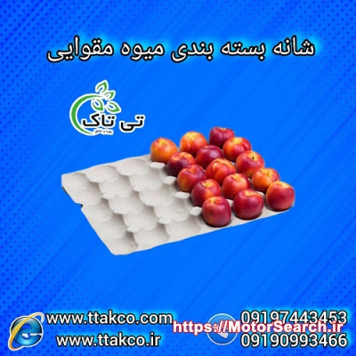 شانه میوه جنس مقوایی: بسته بندی زیبا، حفاظت از میوه صادراتی09197443453